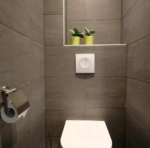 Sunny 45m2 Penthouse With Balcony And Terrace - R65c * Eindhoven