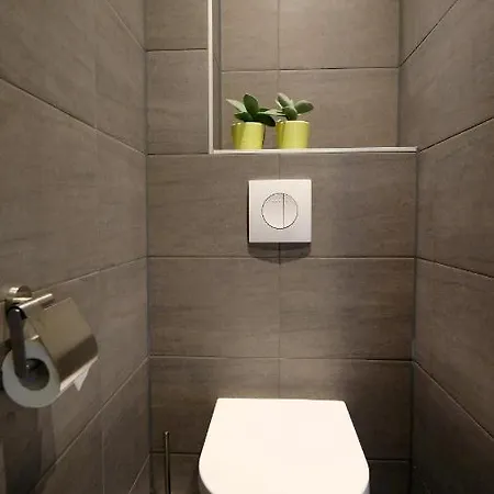 Sunny 45m2 Penthouse With Balcony And Terrace - R65c * Eindhoven